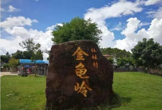 研学推荐遂溪县金龟岭休闲农场